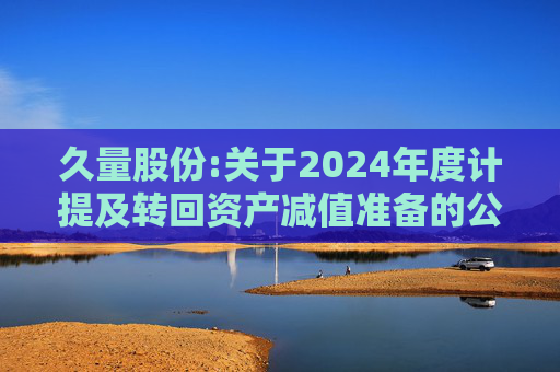 久量股份:关于2024年度计提及转回资产减值准备的公告  第1张