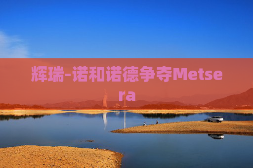 辉瑞-诺和诺德争夺Metsera