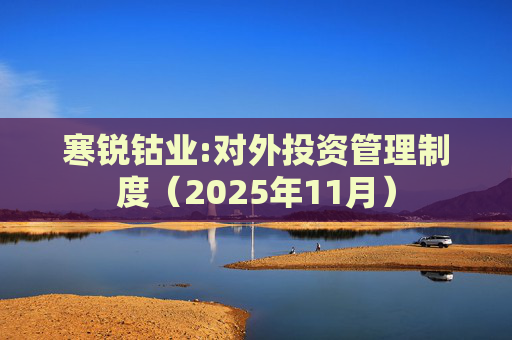 寒锐钴业:对外投资管理制度(2025年11月)