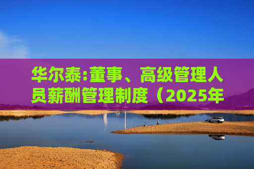 华尔泰:董事、高级管理人员薪酬管理制度(2025年11月)