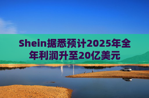 Shein据悉预计2025年全年利润升至20亿美元