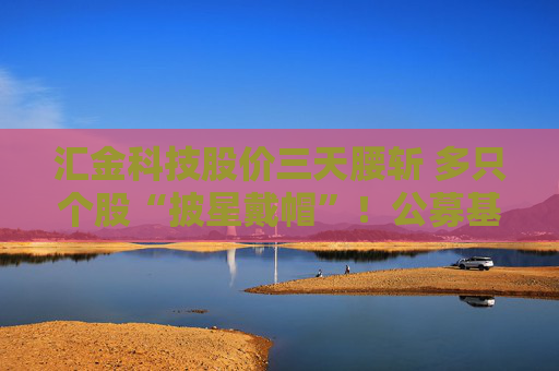 汇金科技股价三天腰斩 多只个股“披星戴帽”！公募基金如何“避雷”？
