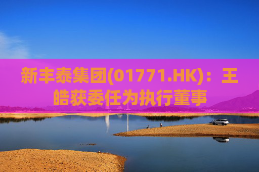 新丰泰集团(01771.HK):王皓获委任为执行董事