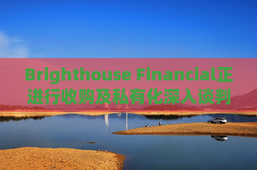 Brighthouse Financial正进行收购及私有化深入谈判