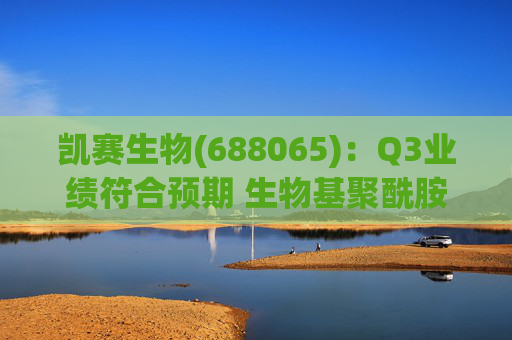 凯赛生物(688065):Q3业绩符合预期 生物基聚酰胺复材商业化持续推进