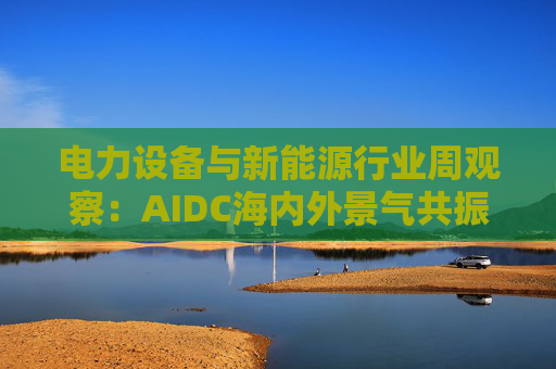 电力设备与新能源行业周观察:AIDC海内外景气共振 储能需求向好发展