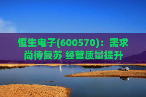 恒生电子(600570):需求尚待复苏 经营质量提升