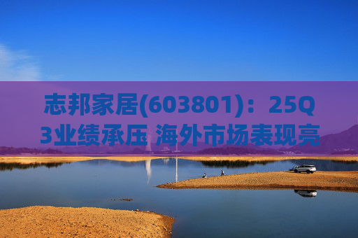 志邦家居(603801)：25Q3业绩承压 海外市场表现亮眼