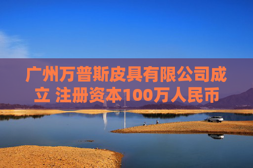 广州万普斯皮具有限公司成立 注册资本100万人民币