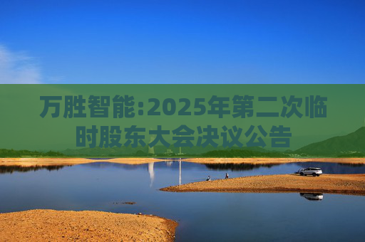 万胜智能:2025年第二次临时股东大会决议公告