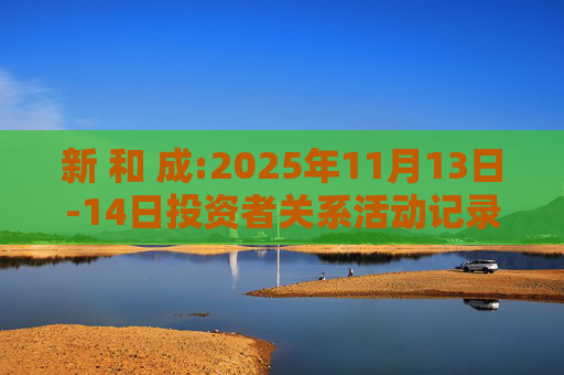 新 和 成:2025年11月13日-14日投资者关系活动记录表
