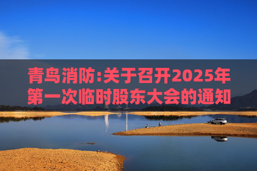 青鸟消防:关于召开2025年第一次临时股东大会的通知