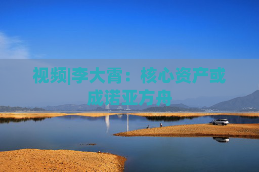 视频|李大霄：核心资产或成诺亚方舟  第1张