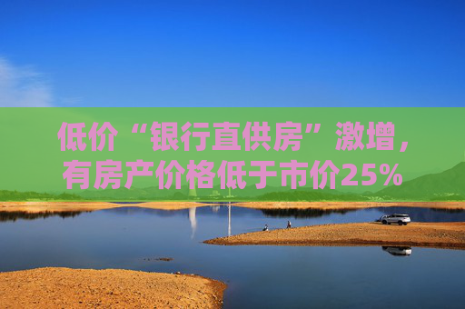 低价“银行直供房”激增，有房产价格低于市价25%