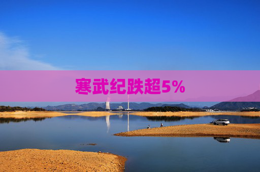 寒武纪跌超5%