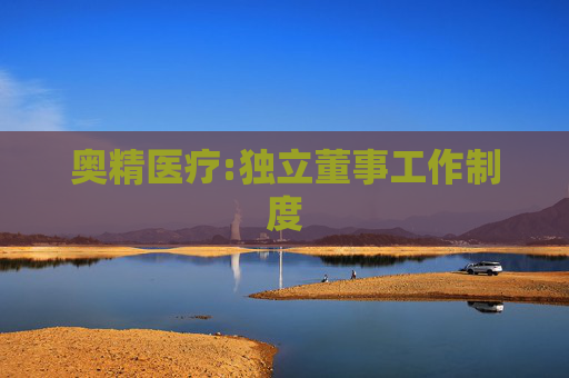 奥精医疗:独立董事工作制度