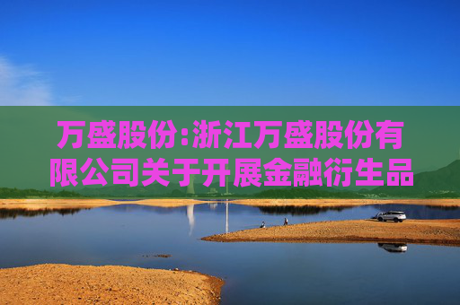 万盛股份:浙江万盛股份有限公司关于开展金融衍生品投资业务的公告