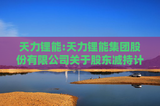 天力锂能:天力锂能集团股份有限公司关于股东减持计划期限届满暨实施结果的公告