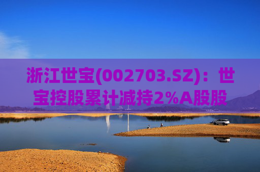 浙江世宝(002703.SZ):世宝控股累计减持2%A股股份