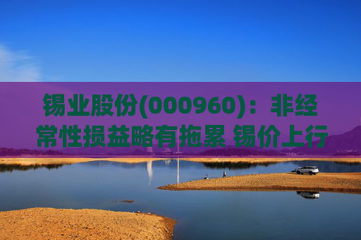 锡业股份(000960)：非经常性损益略有拖累 锡价上行带动扣非归母净利大幅提升