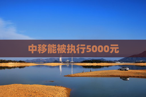 中移能被执行5000元