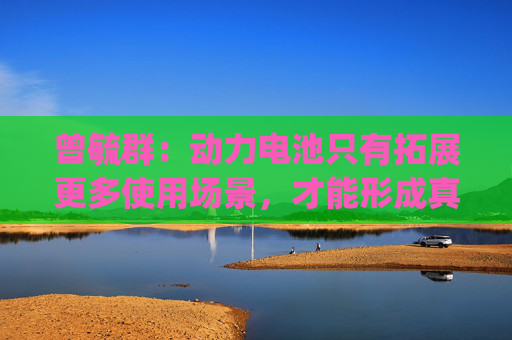 曾毓群:动力电池只有拓展更多使用场景,才能形成真正的"全域增量"