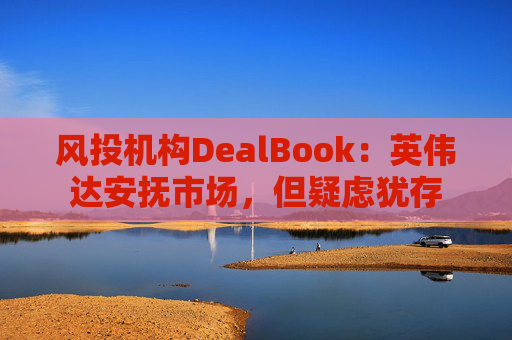 风投机构DealBook：英伟达安抚市场，但疑虑犹存