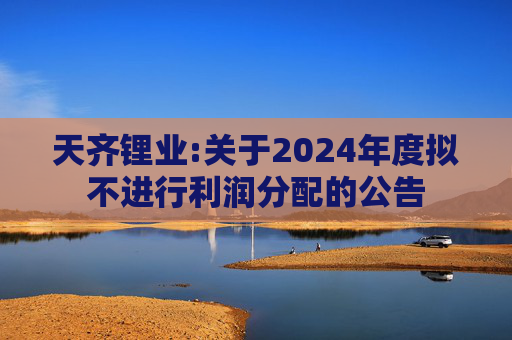天齐锂业:关于2024年度拟不进行利润分配的公告