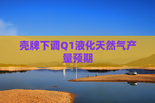 壳牌下调Q1液化天然气产量预期