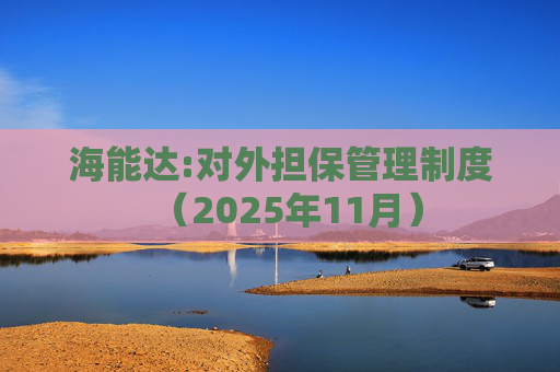 海能达:对外担保管理制度（2025年11月）