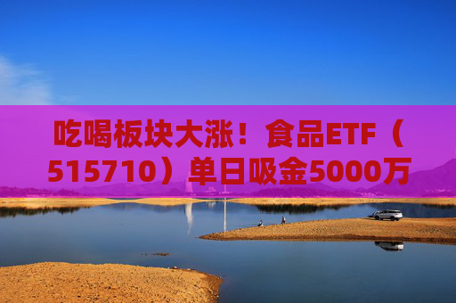 吃喝板块大涨!食品ETF(515710)单日吸金5000万!机构:食饮需求稳健龙头业绩可期 第1张 吃喝板块大涨!食品ETF(515710)单日吸金5000万!机构:食饮需求稳健龙头业绩可期 第1张