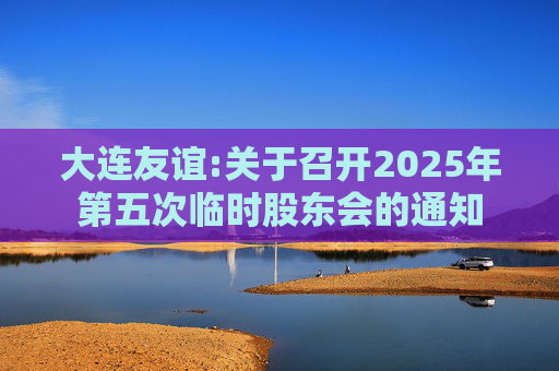 大连友谊:关于召开2025年第五次临时股东会的通知