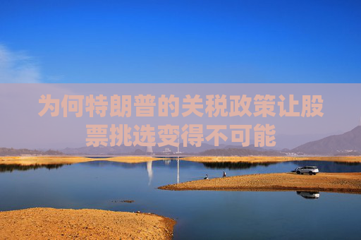 为何特朗普的关税政策让股票挑选变得不可能