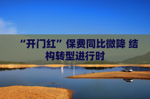 “开门红”保费同比微降 结构转型进行时
