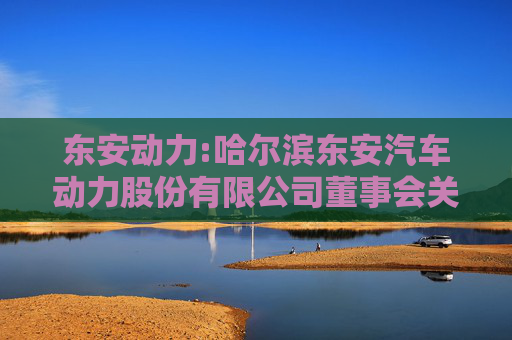东安动力:哈尔滨东安汽车动力股份有限公司董事会关于独立董事独立性情况的评估报告