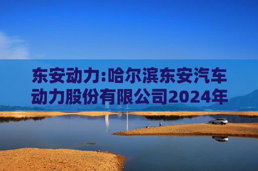 东安动力:哈尔滨东安汽车动力股份有限公司2024年度“提质增效重回报”专项行动方案评估报告暨2025年度“提质增效重回报”专项行动方案
