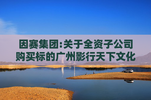 因赛集团:关于全资子公司购买标的广州影行天下文化传播有限公司业绩承诺实现情况的说明  第1张