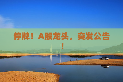 停牌！A股龙头，突发公告！