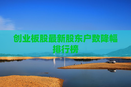 创业板股最新股东户数降幅排行榜