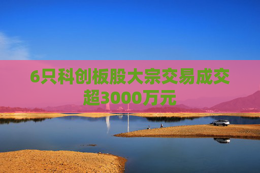 6只科创板股大宗交易成交超3000万元