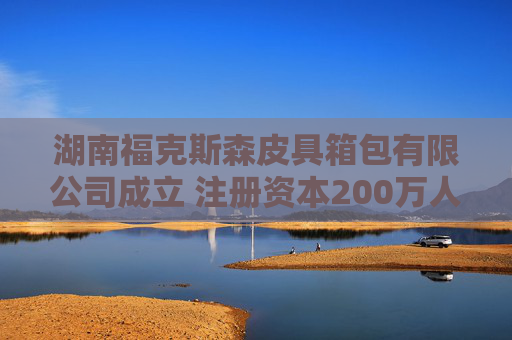 湖南福克斯森皮具箱包有限公司成立 注册资本200万人民币