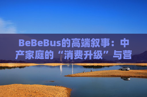 BeBeBus的高端叙事:中产家庭的“消费升级”与营销争议