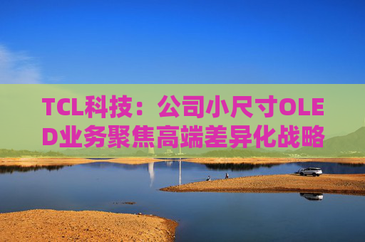 TCL科技：公司小尺寸OLED业务聚焦高端差异化战略