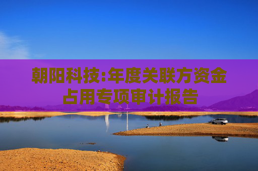 朝阳科技:年度关联方资金占用专项审计报告  第1张