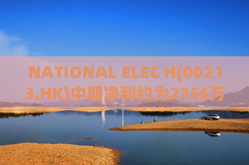 NATIONAL ELEC H(00213.HK)中期净利约为2356万港元 同比增长约10.40%