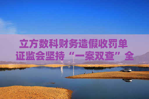 立方数科财务造假收罚单 证监会坚持“一案双查”全链条打击