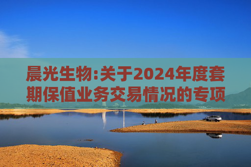 晨光生物:关于2024年度套期保值业务交易情况的专项报告