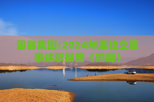 因赛集团:2024年度独立董事述职报告（熊辉）