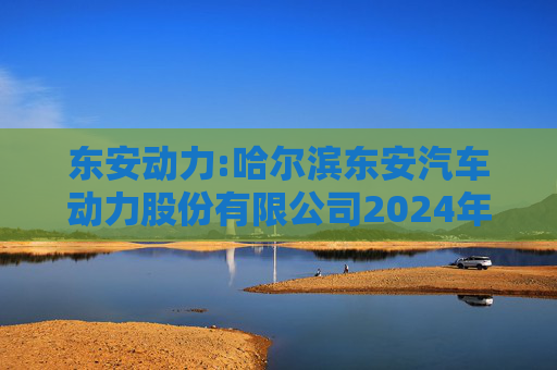 东安动力:哈尔滨东安汽车动力股份有限公司2024年非经营性资金占用及其他关联资金往来情况  第1张