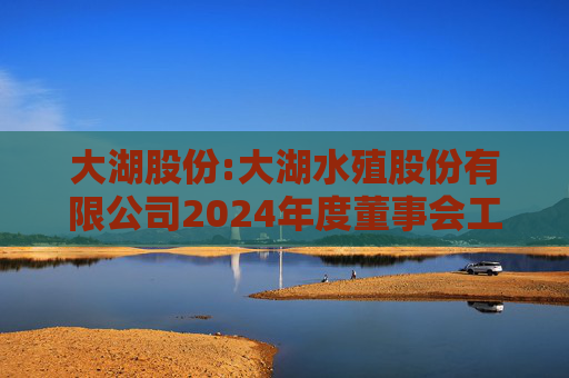 大湖股份:大湖水殖股份有限公司2024年度董事会工作报告